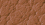 Sahara Beige MB-Tex