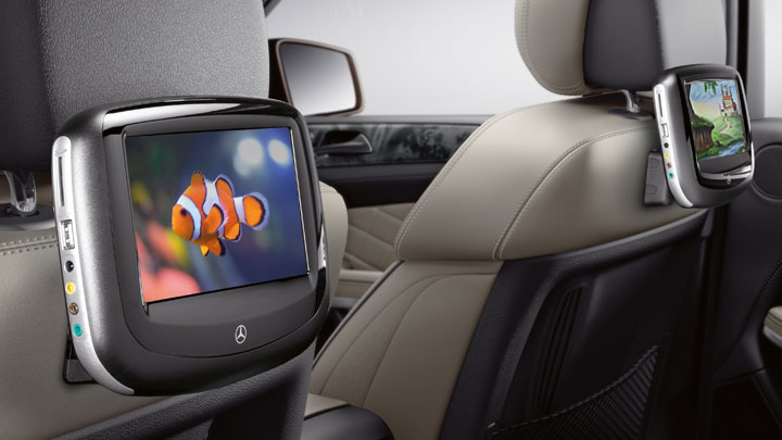 Portable Rear-Seat Entertainment System
