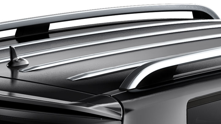 Chrome roof trim