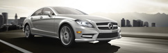 Mercedes Benz Fleet SFI