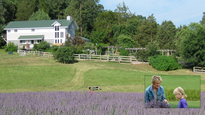 Bluebird Hill Farm