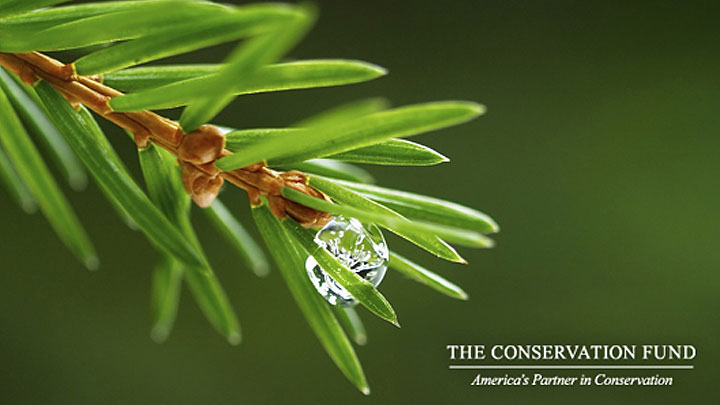 The Conservation Fund