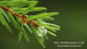 Overlay_Conservation-Fund.jpg