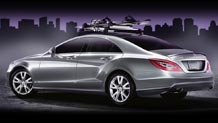 Rooftop ski and snowboard racks