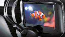 Rear Seat Entertainment system