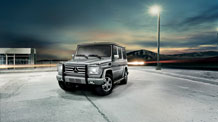 G550 in Palladium Silver with chrome brush guard