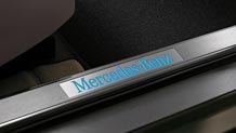 Illuminated door sills