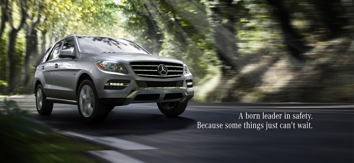 A born leader in safety.