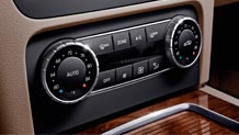 in Almond/Mocha with dual-zone climate control