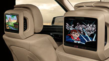 Rear Seat Entertainment system