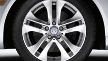 17-inch split 5-spoke wheels
