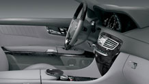 Black Ash wood trim