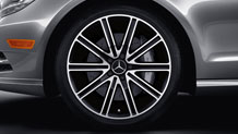 19'' two-tone 10-spoke wheel