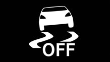 Electronic Stability Program (ESP)