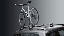 Roof rack basic carrier