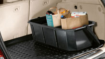 Cargo area tray