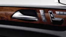 Burl Walnut wood trim