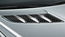 Chrome hood fins