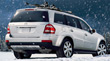 Mercedes Benz 110x61 Thumb sledding