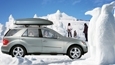 2012Winter_Penguins_115x65.jpg