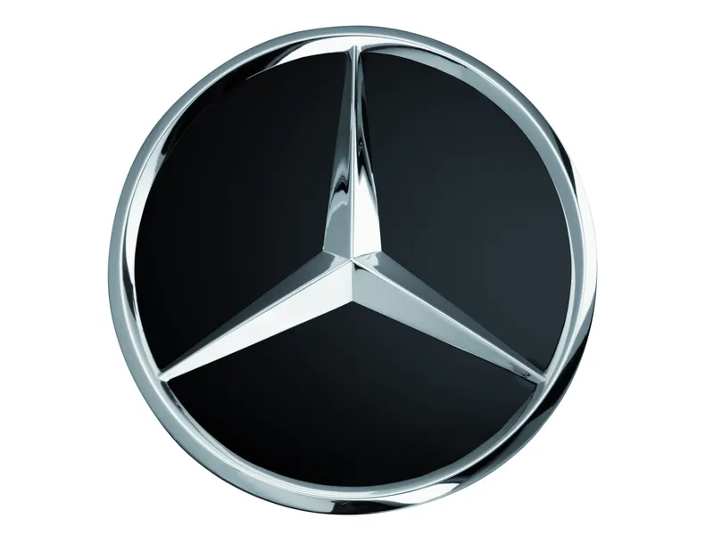 Hub cap, raised star c300a