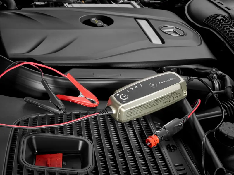Charger with trickle charge function, 5 A, for lead-acid and lithium batteries, USA c300w4