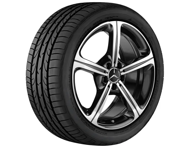 5-spoke wheel, 48.3 cm (19 inch), high-sheen cls450c4