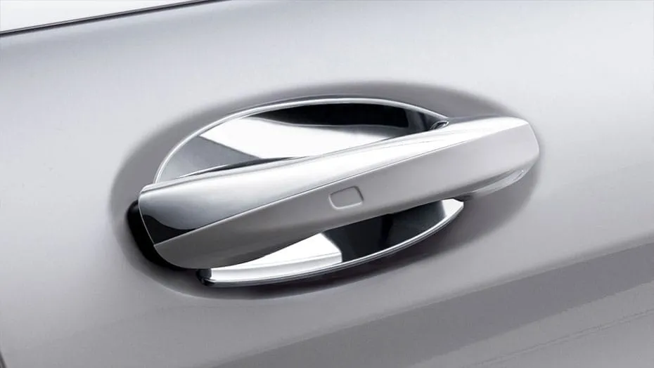 Chrome door handle inserts