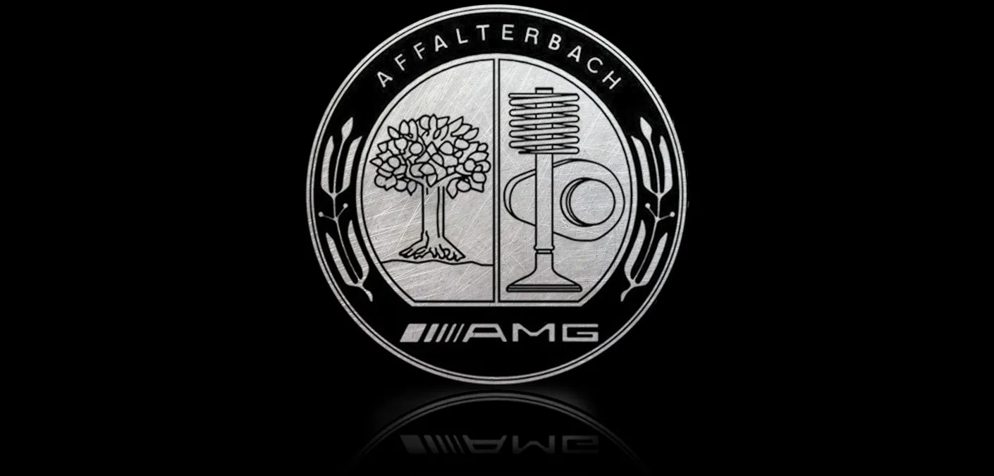 Beschrijvend Streven Aankoop The AMG GT Coupe | Mercedes-Benz USA