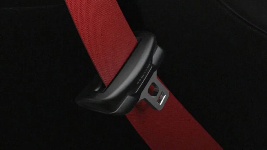 Red seat belts