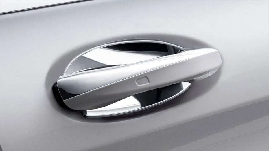 Chrome door handle inserts