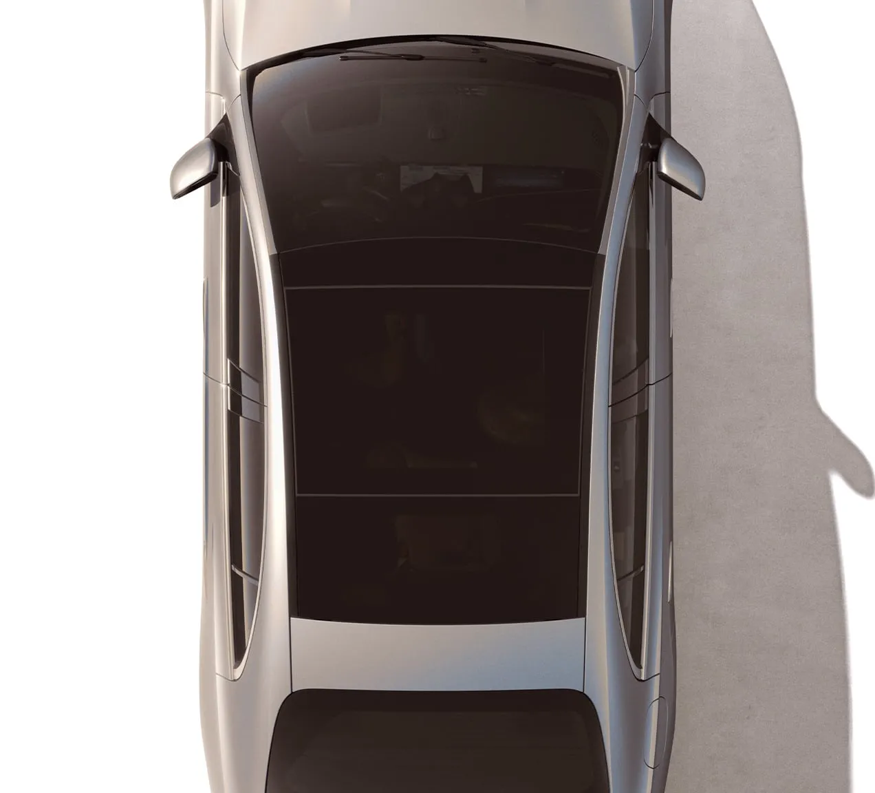 Standard Panorama roof