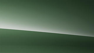 MANUFAKTUR Exclusive Dark Olive Green paint swatch