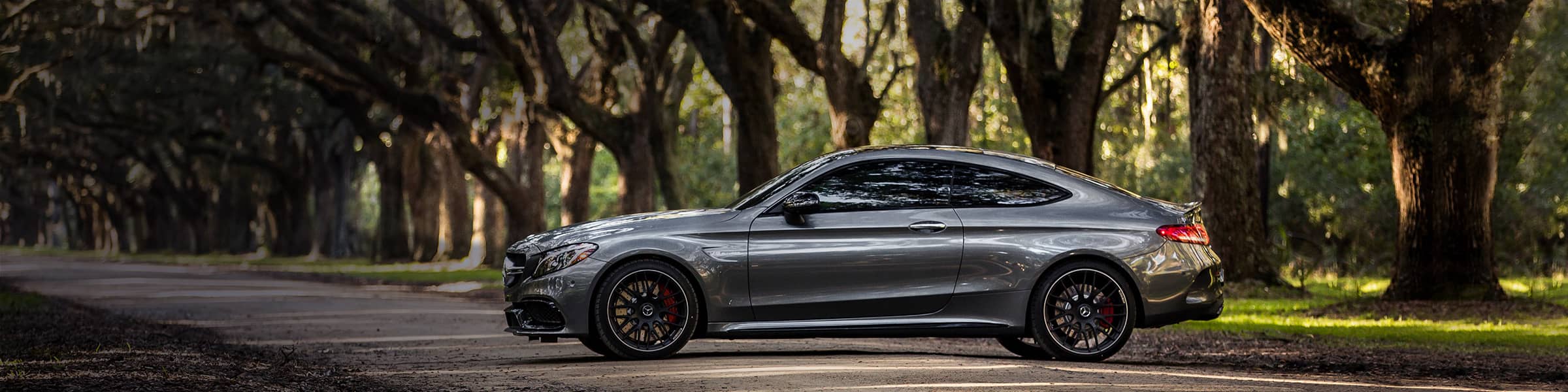 A shiny silver Mercedes-Benz coupe is parked under a row of trees